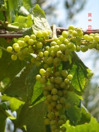 You just never know what you may find along this path!